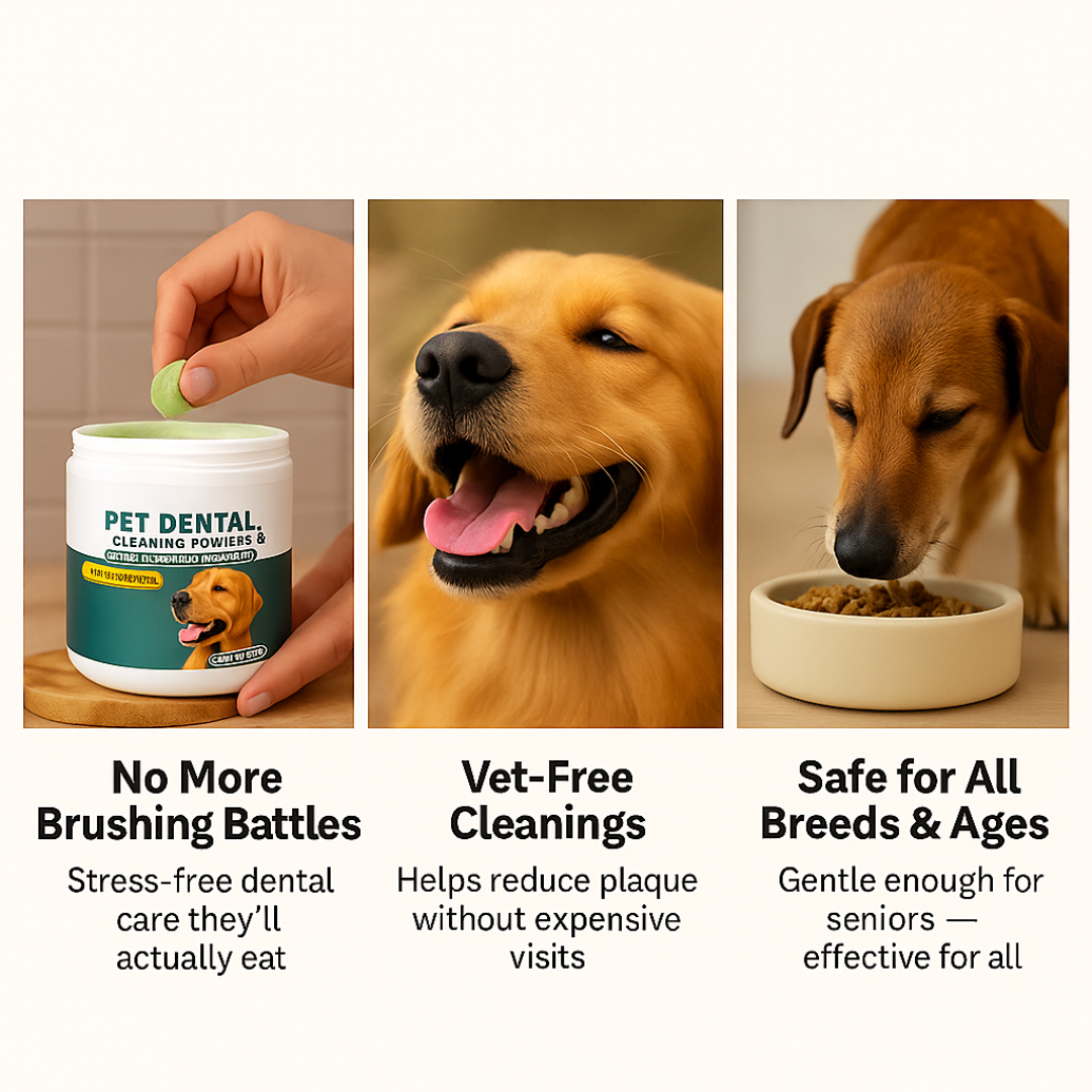 Dental powder to help support your dog's teeth & gums — with Avirae
